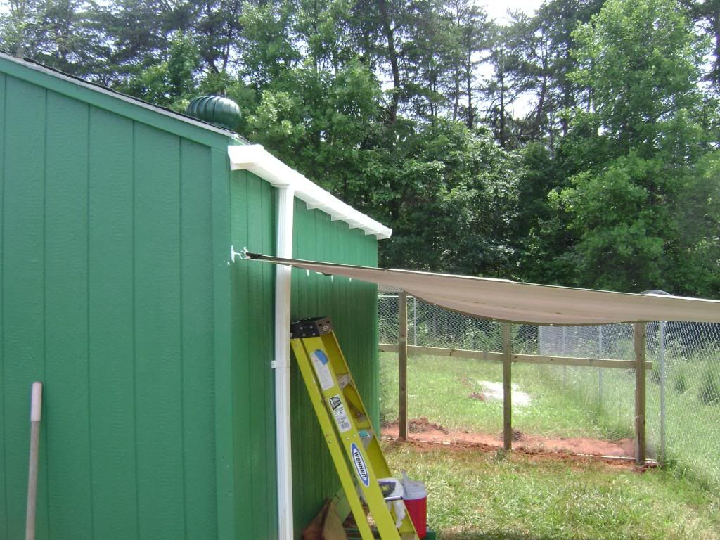 Back of coop with shade and gutter