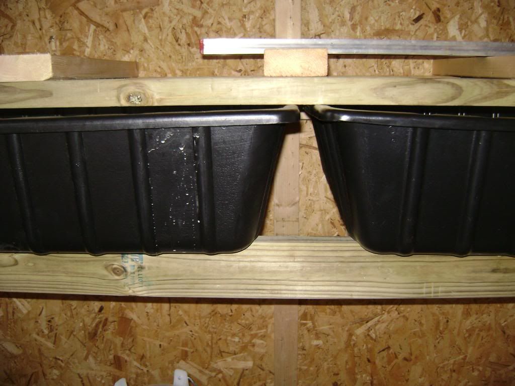 Roost litter boxes