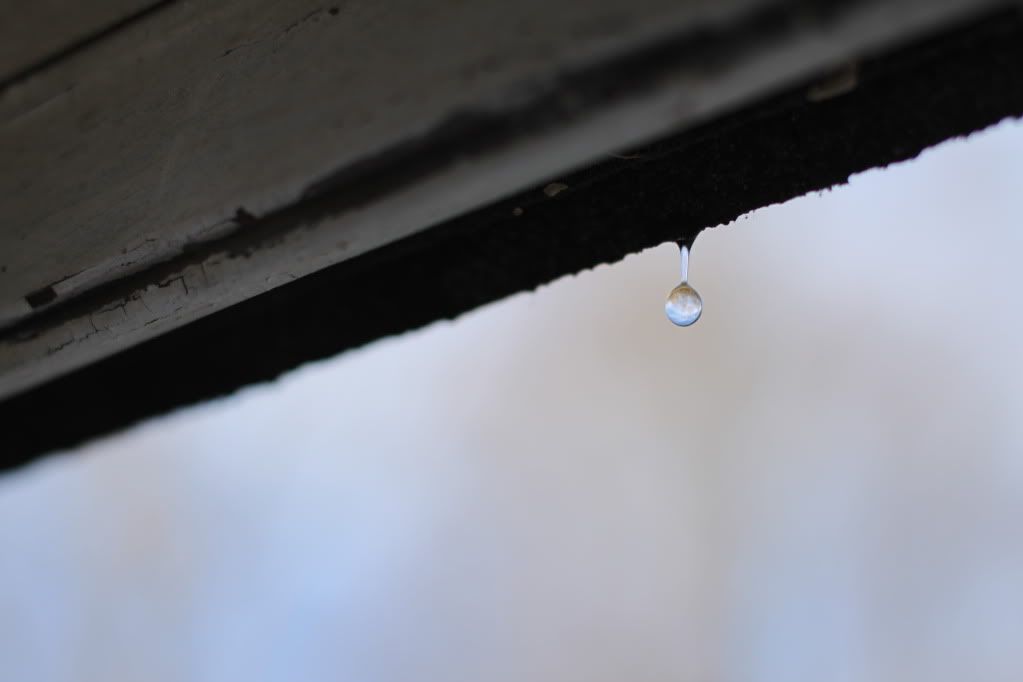 A drop of water that looks like a jewel