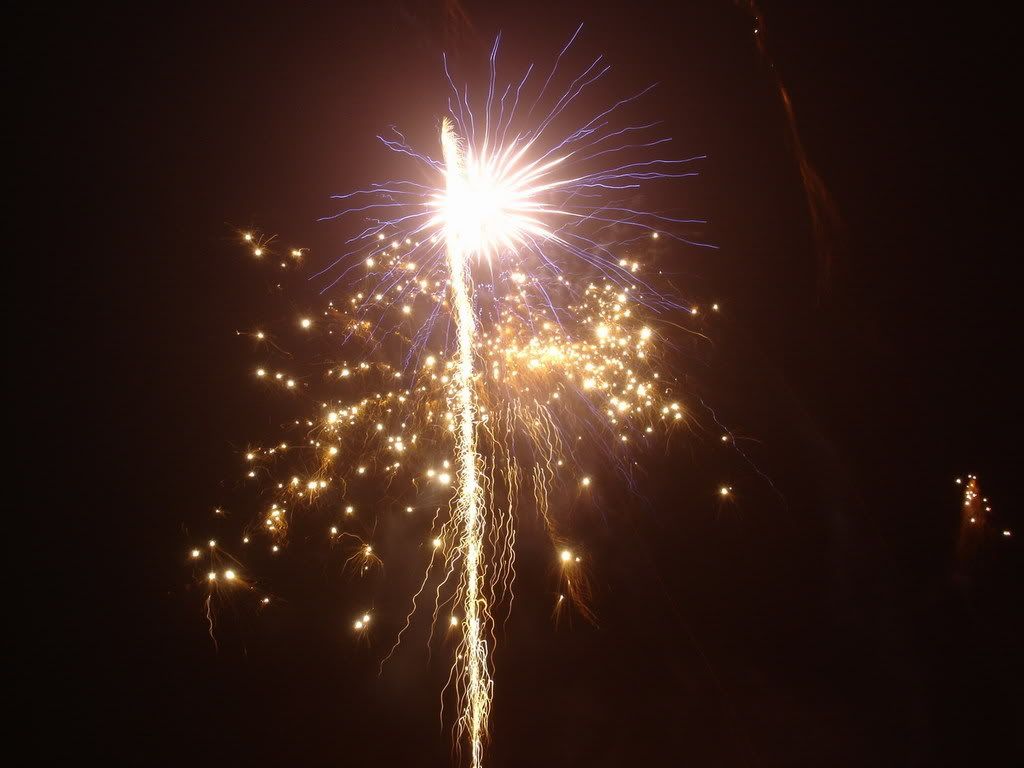 Fireworks009.jpg