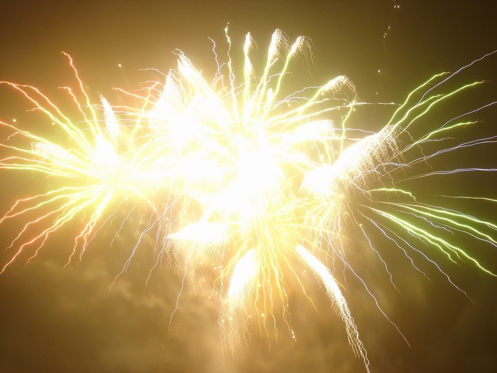 Fireworks010.jpg