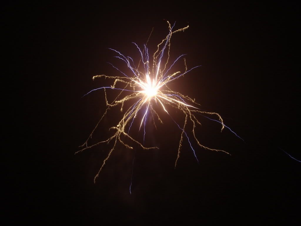 Fireworks015.jpg