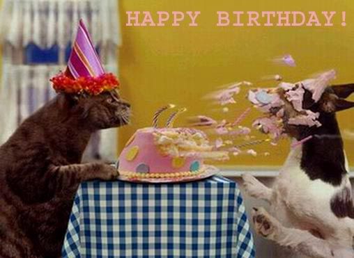 funny birthday Pictures, Images and Photos