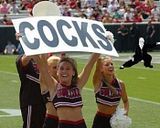 display_image.jpg GO Team GO...LOL image by mtbob