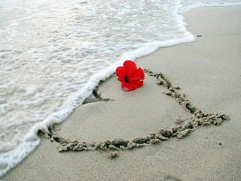 Heart_and_Flower_in_Sand.jpg image by paige1956