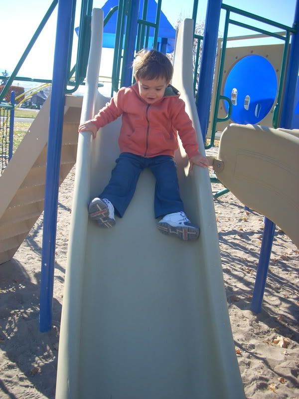 [Linked Image from i163.photobucket.com]