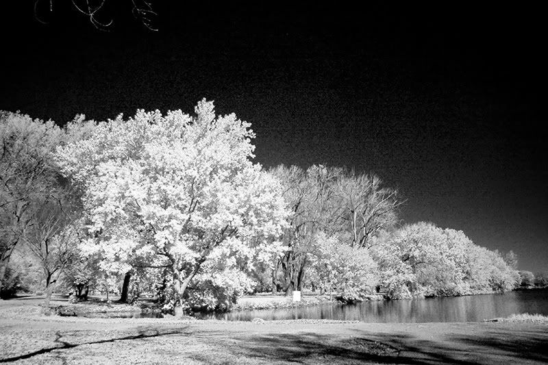 IMAGE: http://i163.photobucket.com/albums/t312/Larbear3/IR/BlackHawkIR_w.jpg