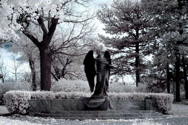 IMAGE: http://i163.photobucket.com/albums/t312/Larbear3/IR/blackangel2IR_w.jpg