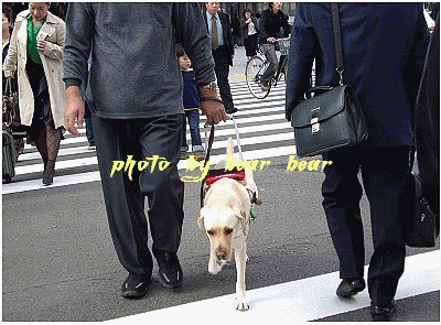 dogs.gif dogs picture by bearbearchu