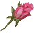 1724694_200712013353512421.gif picture by bearbearchu