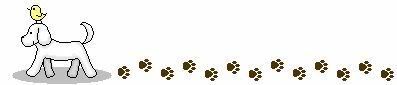 2005092108100038992_2Dzm2.jpg picture by bearbearchu
