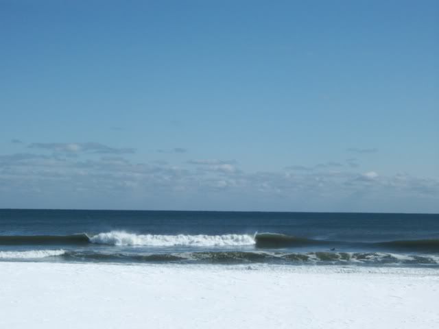 100_0085.jpg?t=1236105547