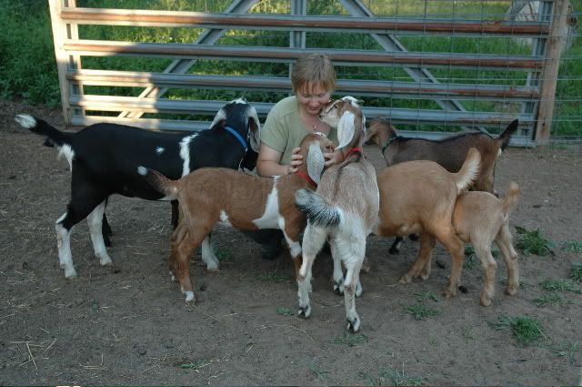 doe kids (picture) - Goats