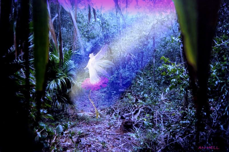 HADA Y SIRENAS hada y sirenas: