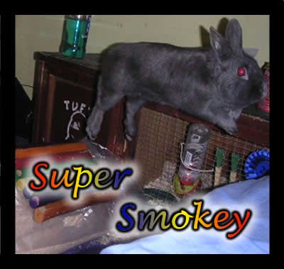 SuperSmokey-1.jpg
