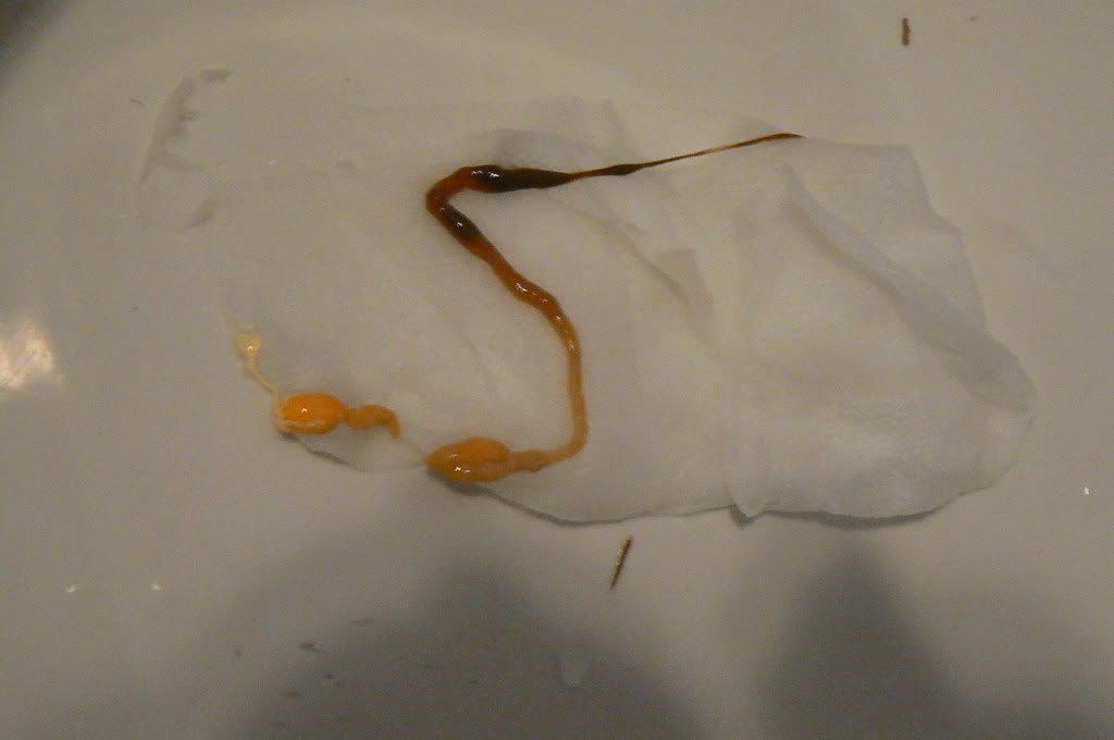Can Viagra Cause Yellow Semen