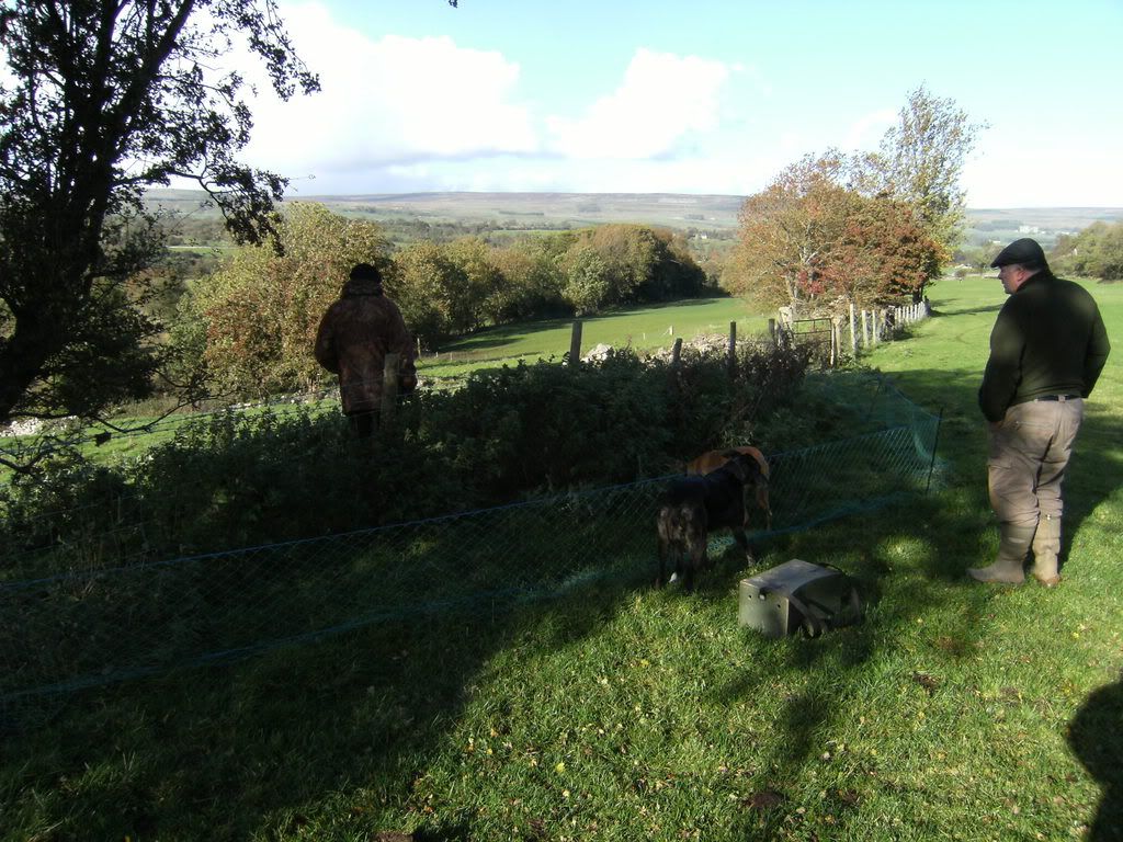 DSCF0290.jpg