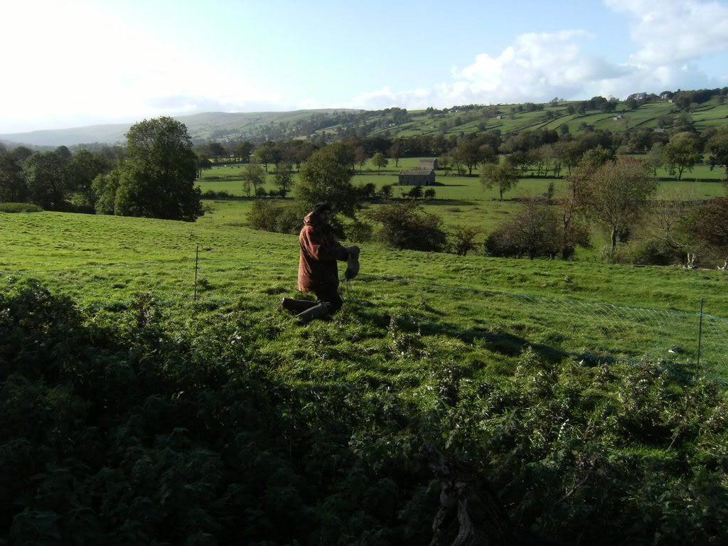 DSCF0291.jpg