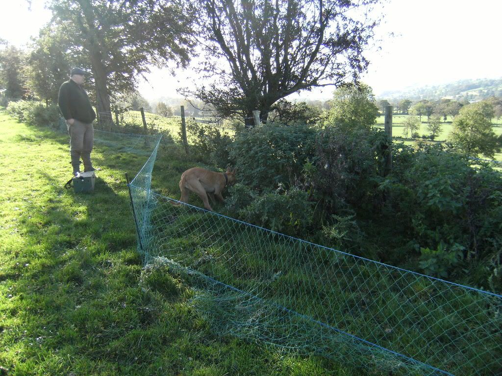 DSCF0292.jpg