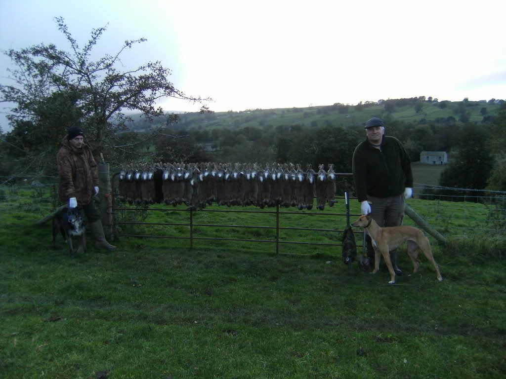 DSCF0294.jpg
