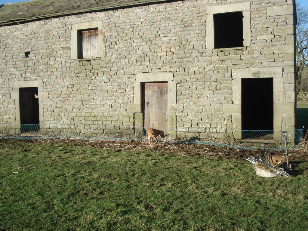 FERRETINGTHEDALES6208004.jpg