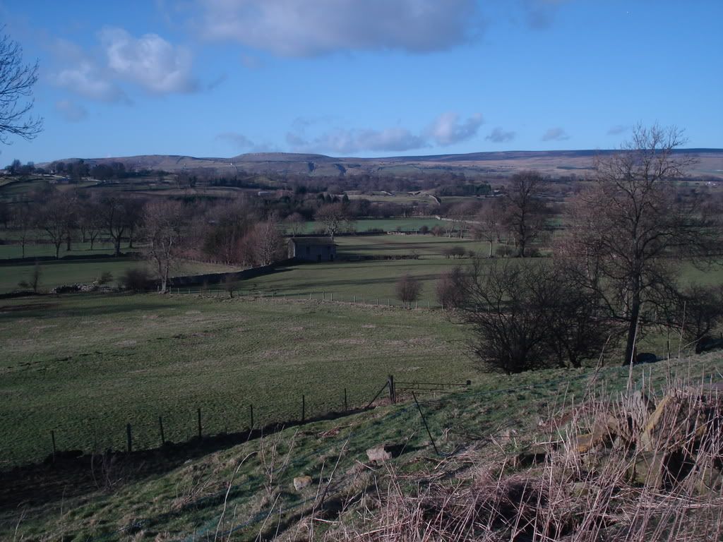 FERRETINGTHEDALES6208013.jpg