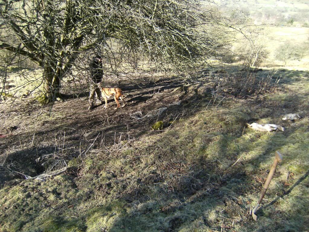 ferreting20212004.jpg