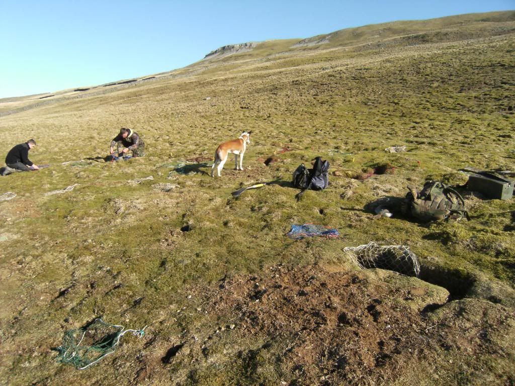 ferreting20212005.jpg