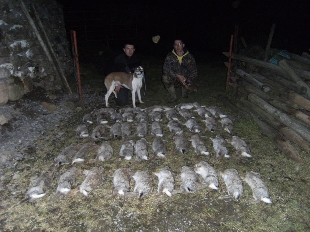 ferreting20212011.jpg