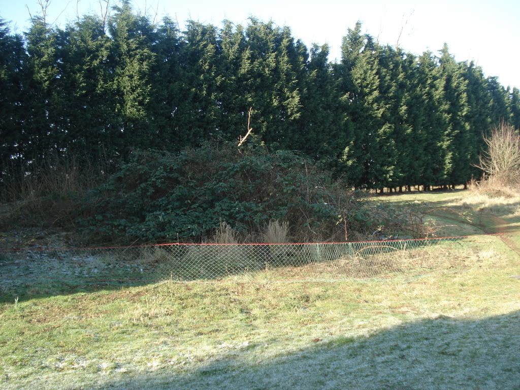 ferretingwithbreeze16208004.jpg