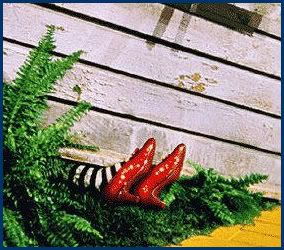 The wicked witch of the west is dead