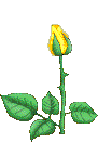 th_abpds9.gif