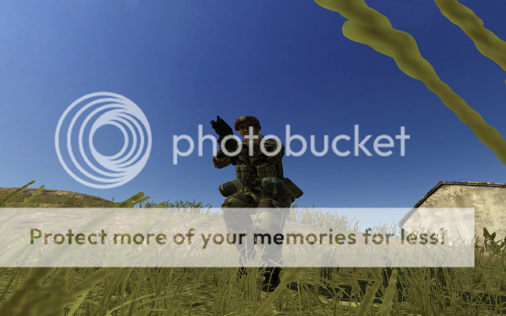 https://i163.photobucket.com/albums/t290/Entertayner/Battlefield%202/Infantry1.png