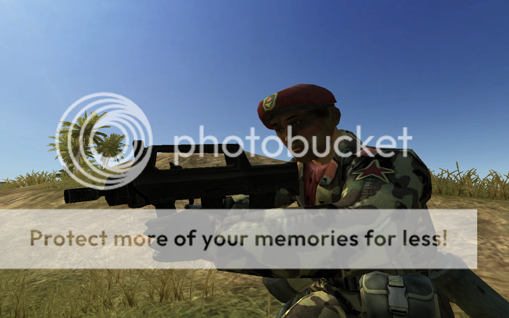 https://i163.photobucket.com/albums/t290/Entertayner/Battlefield%202/Infantry2.png