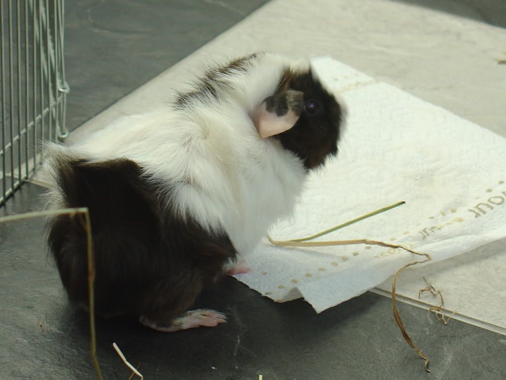 DSC03316.jpg