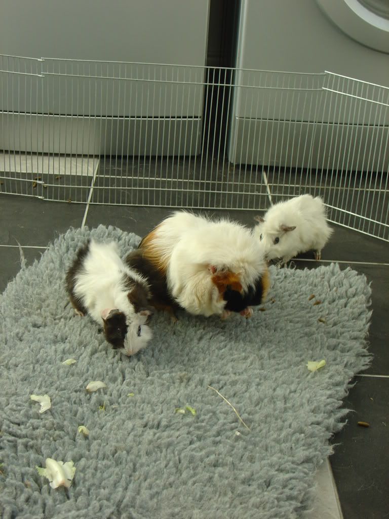 DSC03325.jpg